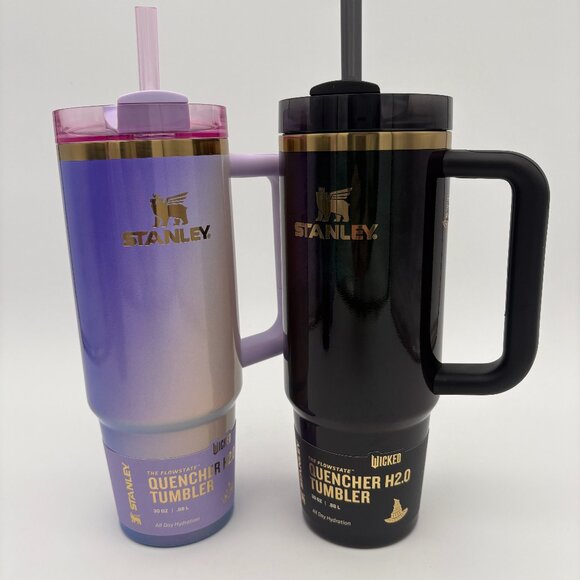 NWT Target x Stanley Wicked Elphaba And Purple 30oz Quencher H2.0 Tumblers Cups - Picture 1 of 7